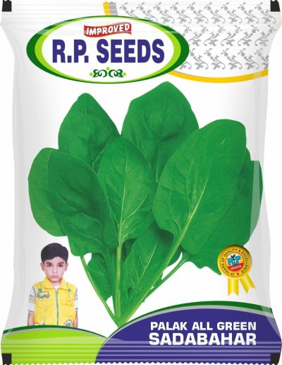 Palak All Green Sadabahar