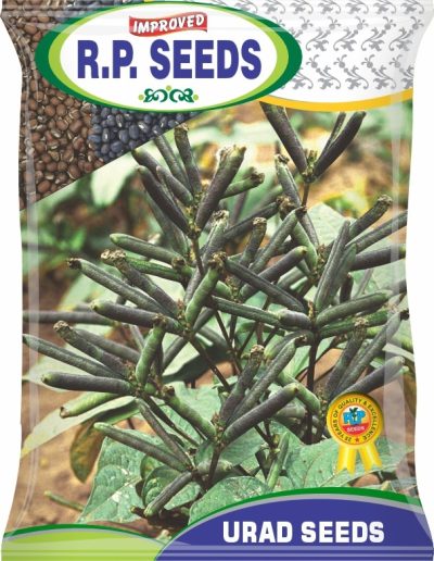 Urad Seeds